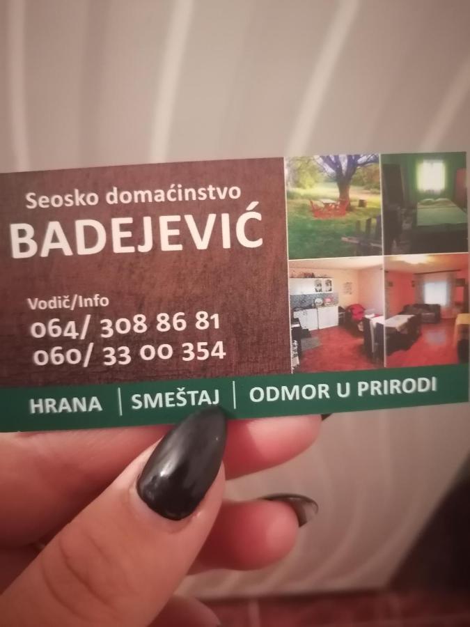 Вілла Etno Kuca Badejevic Plavna Екстер'єр фото